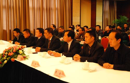 20100408101310326
